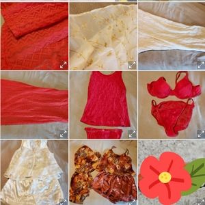 6 different Women's lingerie pieces.